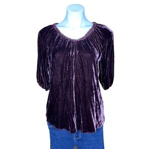 SUNDANCE All Hours Velvet Short Sleeve Top Silk Collar Brown Size Small